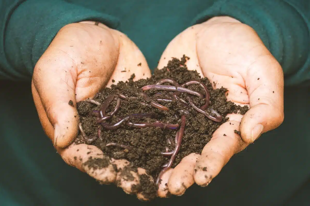 compostage jardin