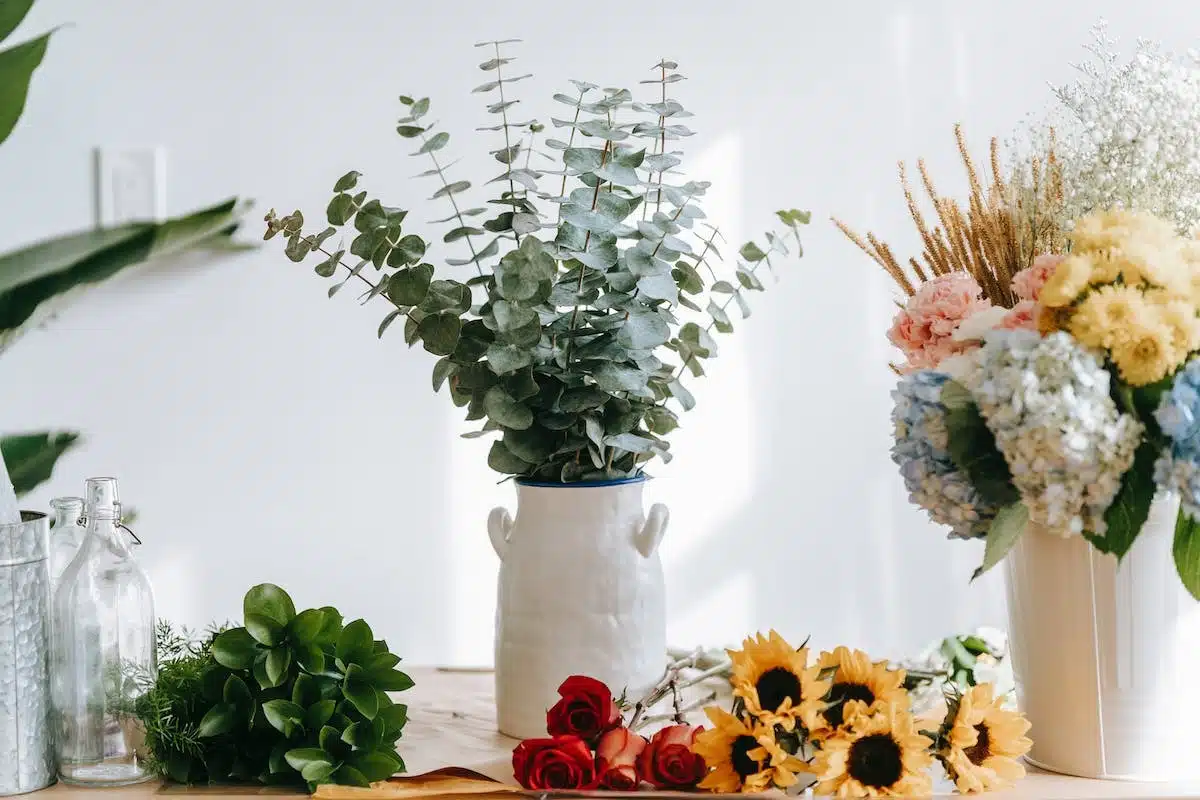 fleurs  préservation