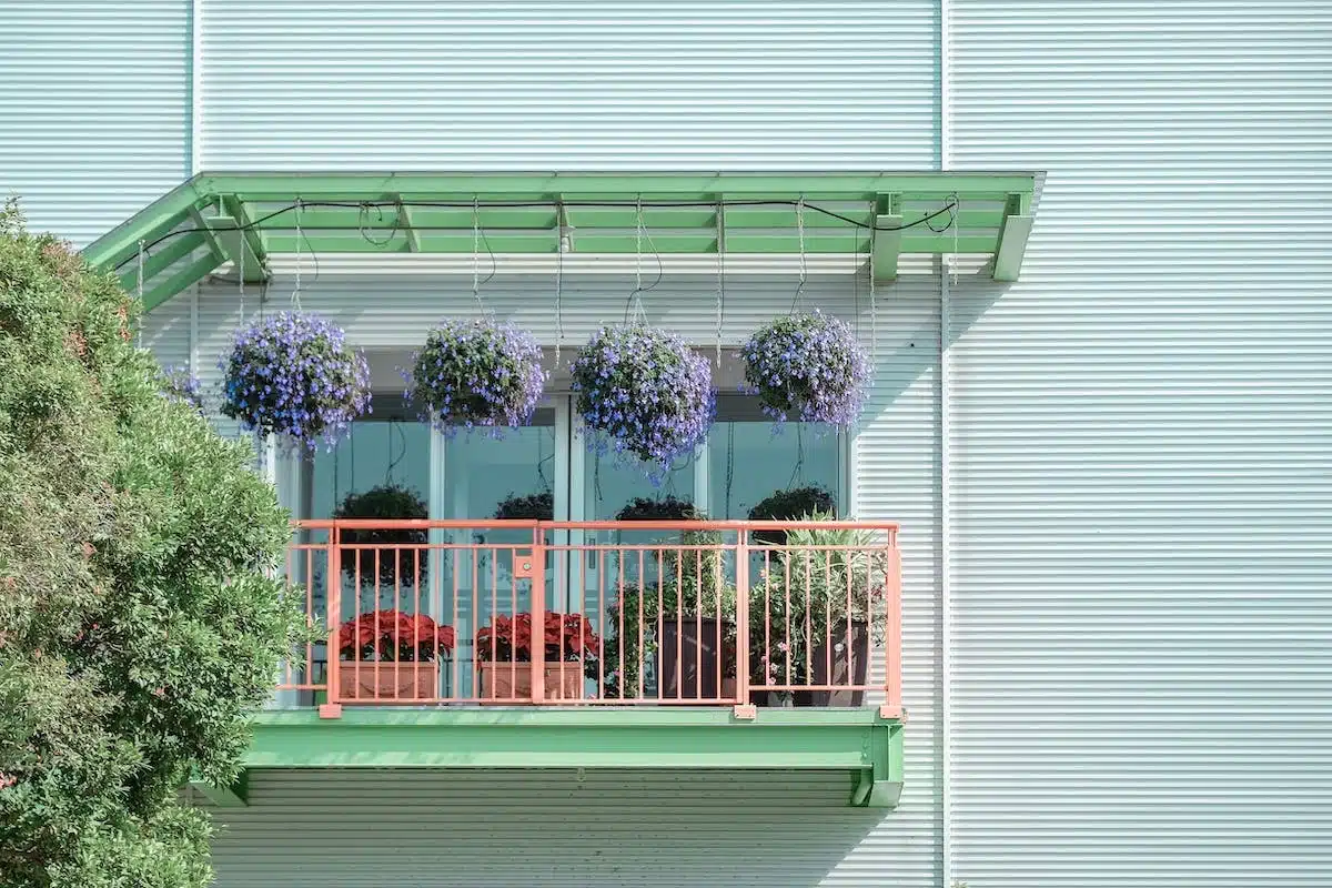 plantes balcon