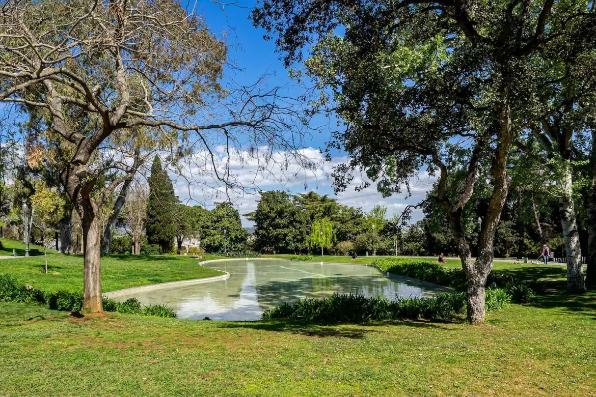 green grass field with trees and river in distance